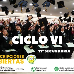 Ciclo VI